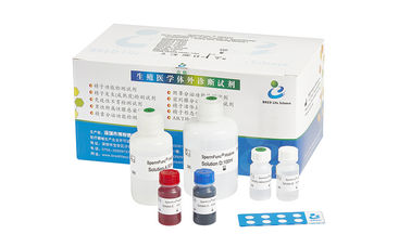 Kit For Human Spermatozoan Nucleoprotein maturity test