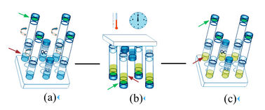 Solid Phase BAPNA Method Sperm Function Test Kit For Spermatozoa Acrosin Activity Test
