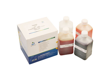 Sperm Morphology Papanicolaou Stain Kit 500ml/Kit For Male Infertility Diagnosis
